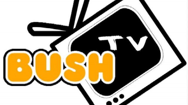 bush tv software update download