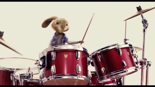 Bunny Playing Drum Video JITA TV